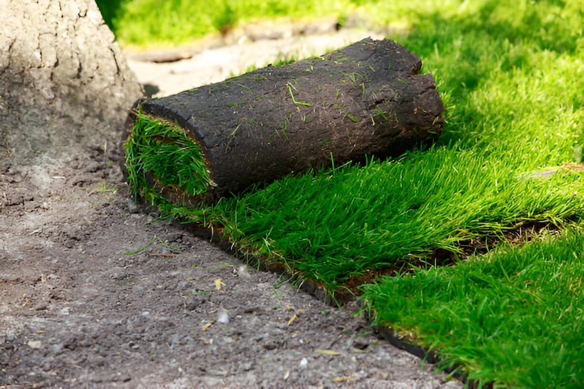 Grass in a Landscaper’s Roll