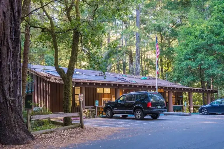 Portola Redwoods State Park