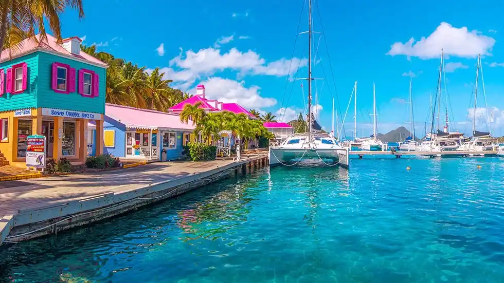 bvi or harbour island