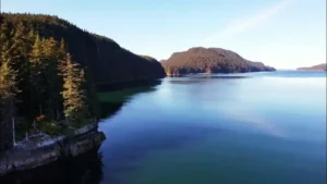 Kayak Beach Tutka Bay Yurt